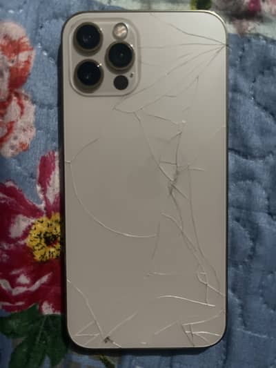 Apple iPhone 12 Pro