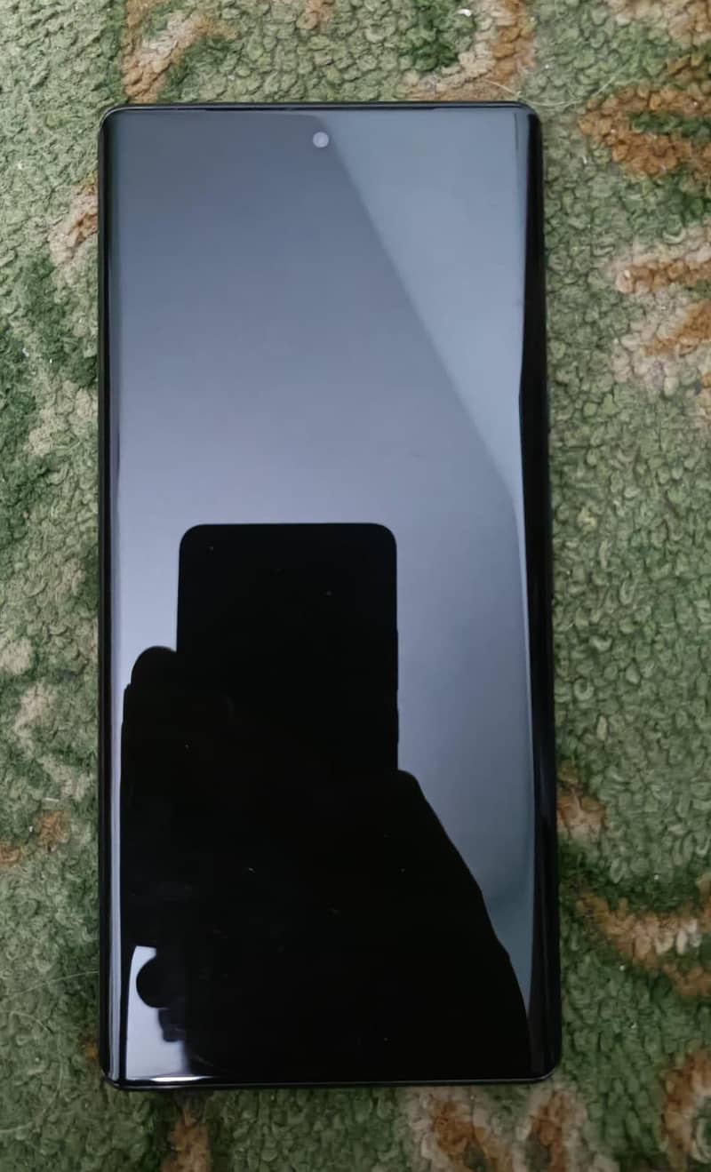 Google Pixel 6 Pro 1