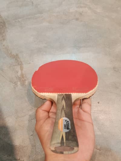 Table Tennis  Racket ITTF Proved