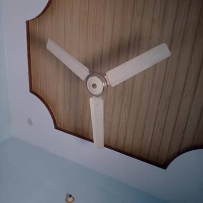 master fan