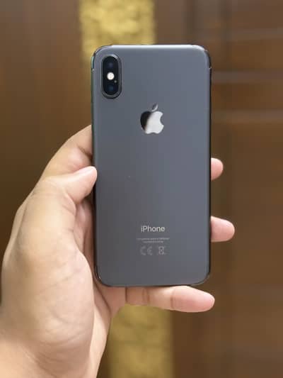 Apple iPhone X