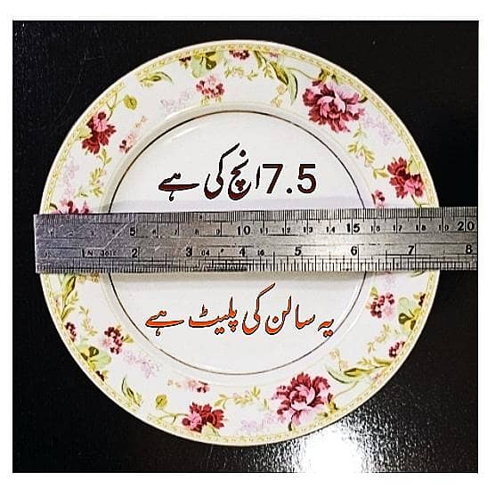 Dinner set 9
