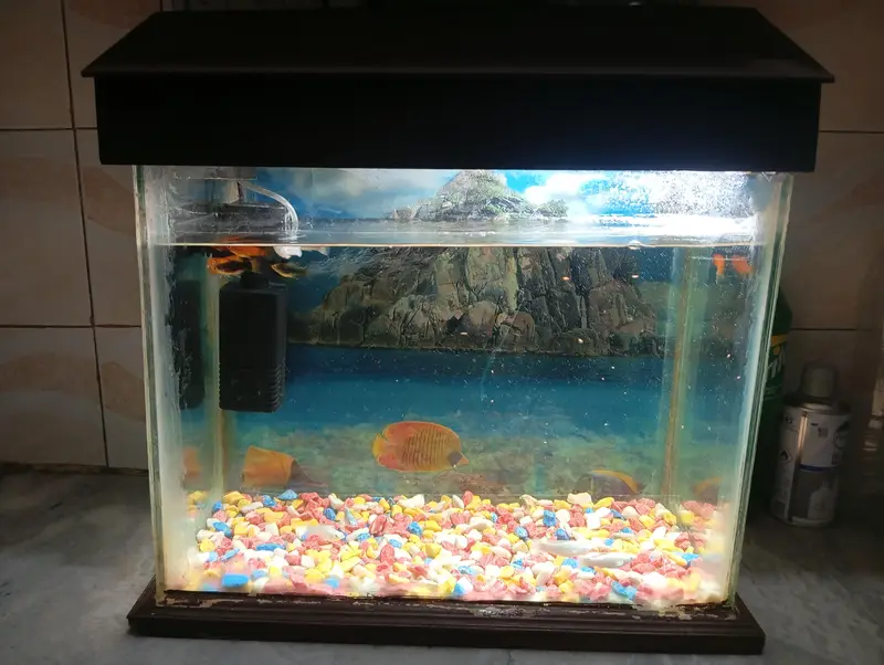 aquarium and fish 1:30 fit by 1:30