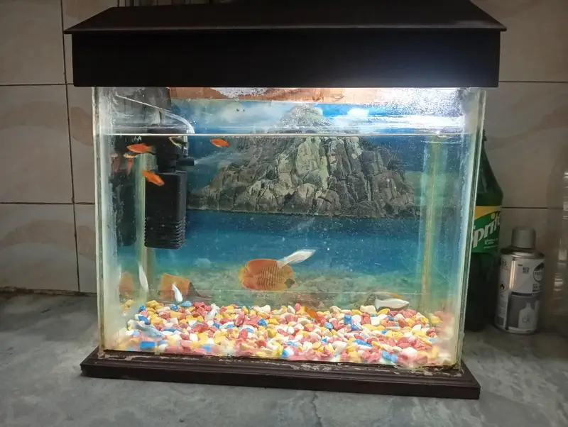 aquarium and fish 1:30 fit by 1:30 — photo 6