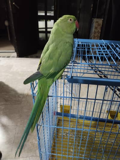 katha for sale