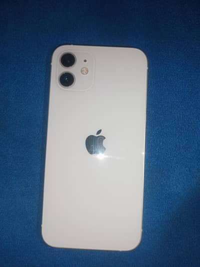 Apple iPhone 12 sim working