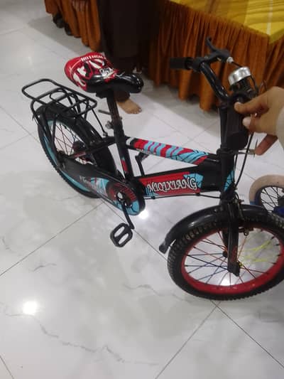 cycle 16 size