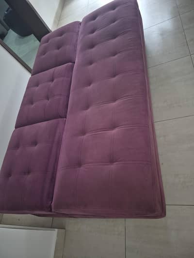 Molty Home Sofa Cum Bed – Used, Excellent Condition