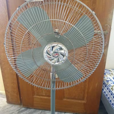 new fan