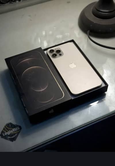 Apple iPhone 12 Pro Max