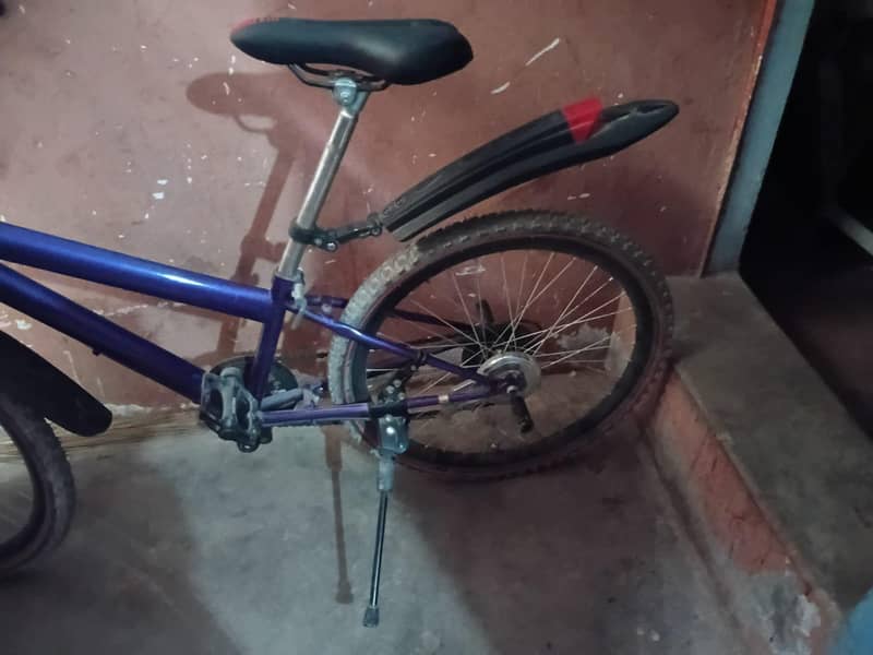 my cycle 1