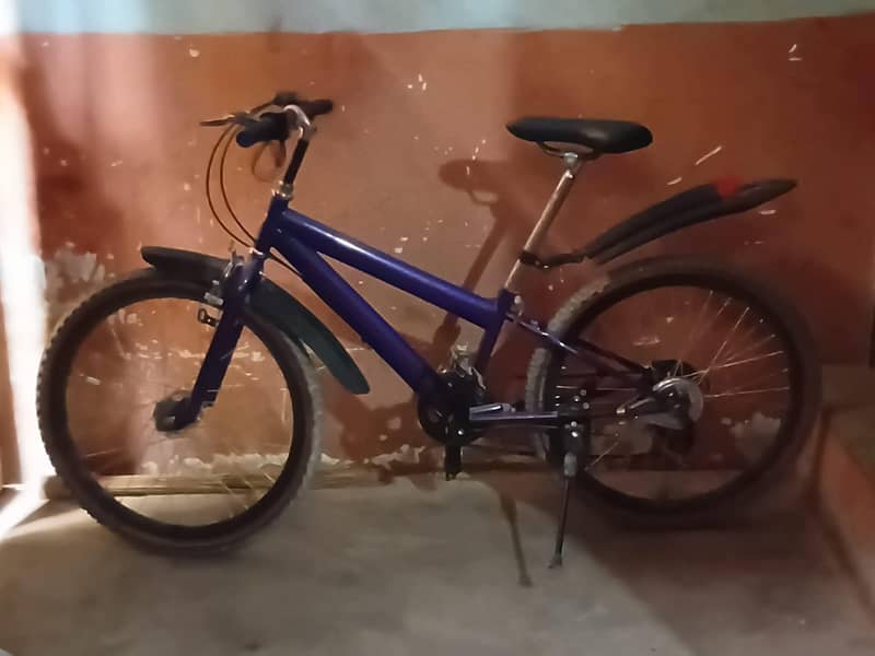 my cycle 3