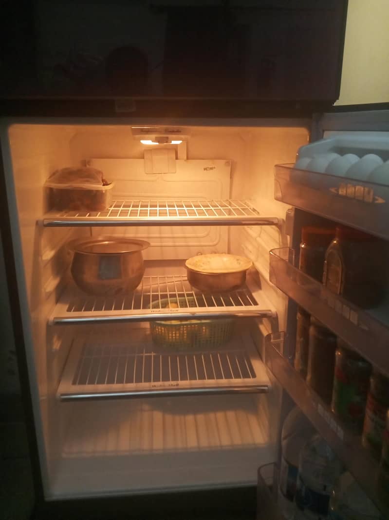 fridge 9