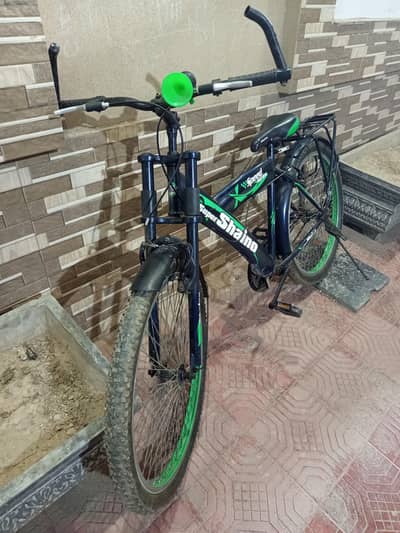 Imported Bicycle Full Size 56 For All