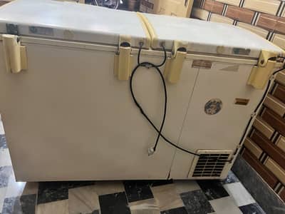 Waves deepfreezer 2 door