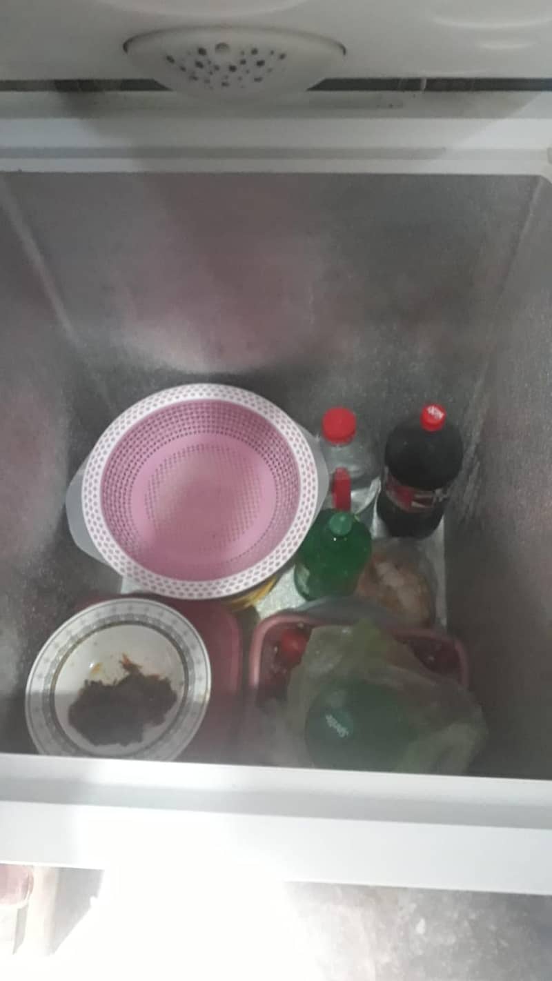 D_freezer 2