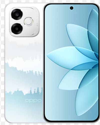 Oppo A6s Pro