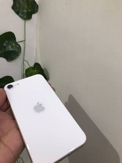 Apple iPhone SE 3