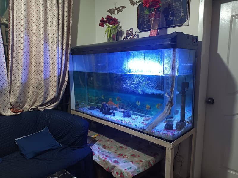 imported aquarium 0