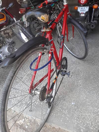 cycle for sell
