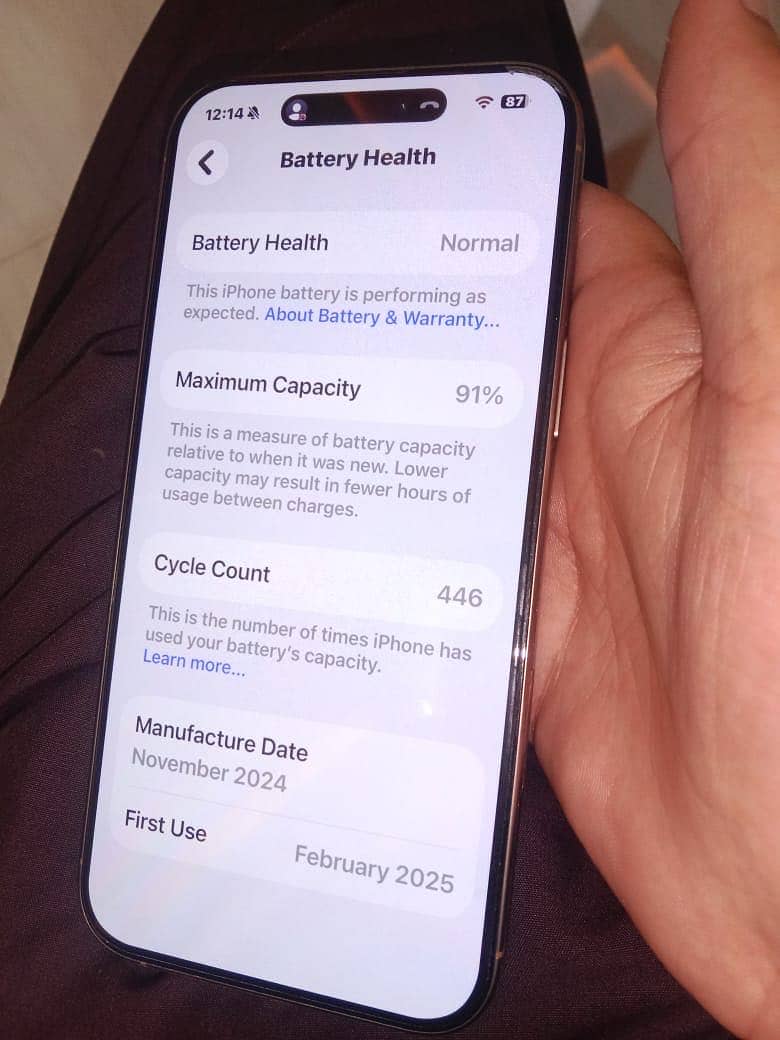 Apple iPhone 16 Pro Max 4