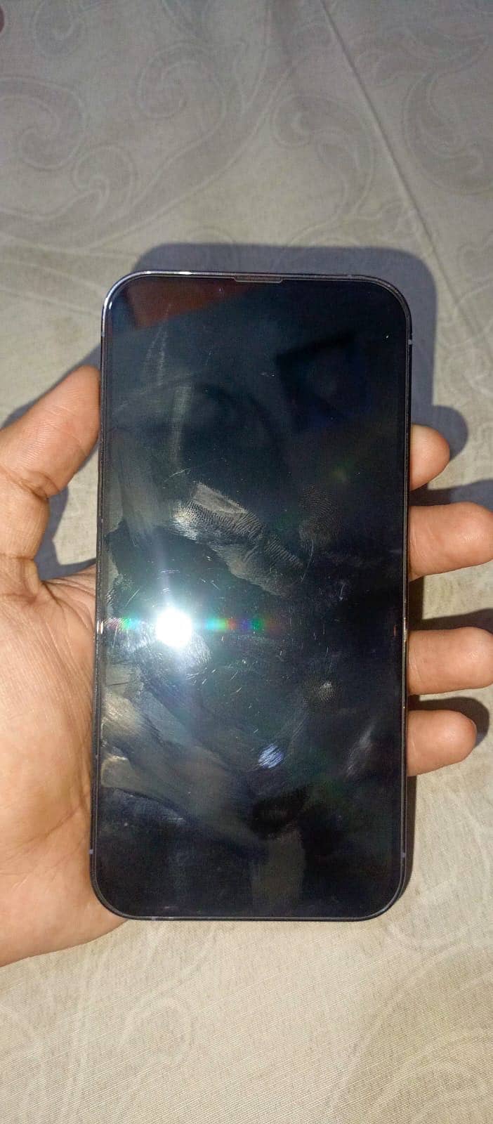Apple iPhone 13 Pro Max 1