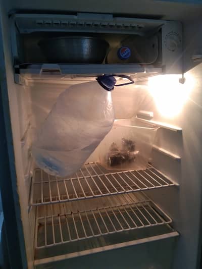 One door small refrigerator 12volt (DC)