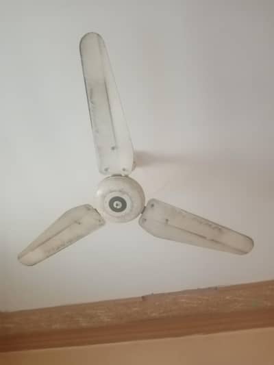 2 fans 1 lahore fan and second fan