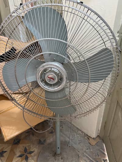 Royal Fan Large Size - Urgent Sale