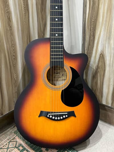 Acoustic guitar