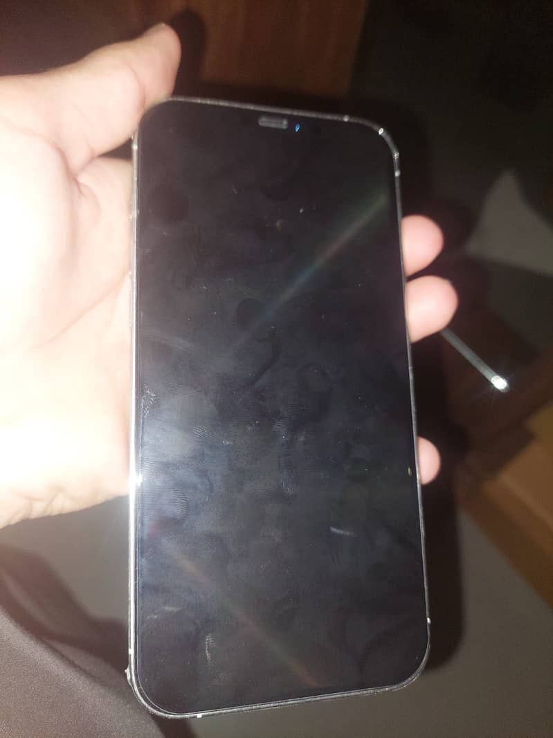Apple iPhone 12 Pro Max 1