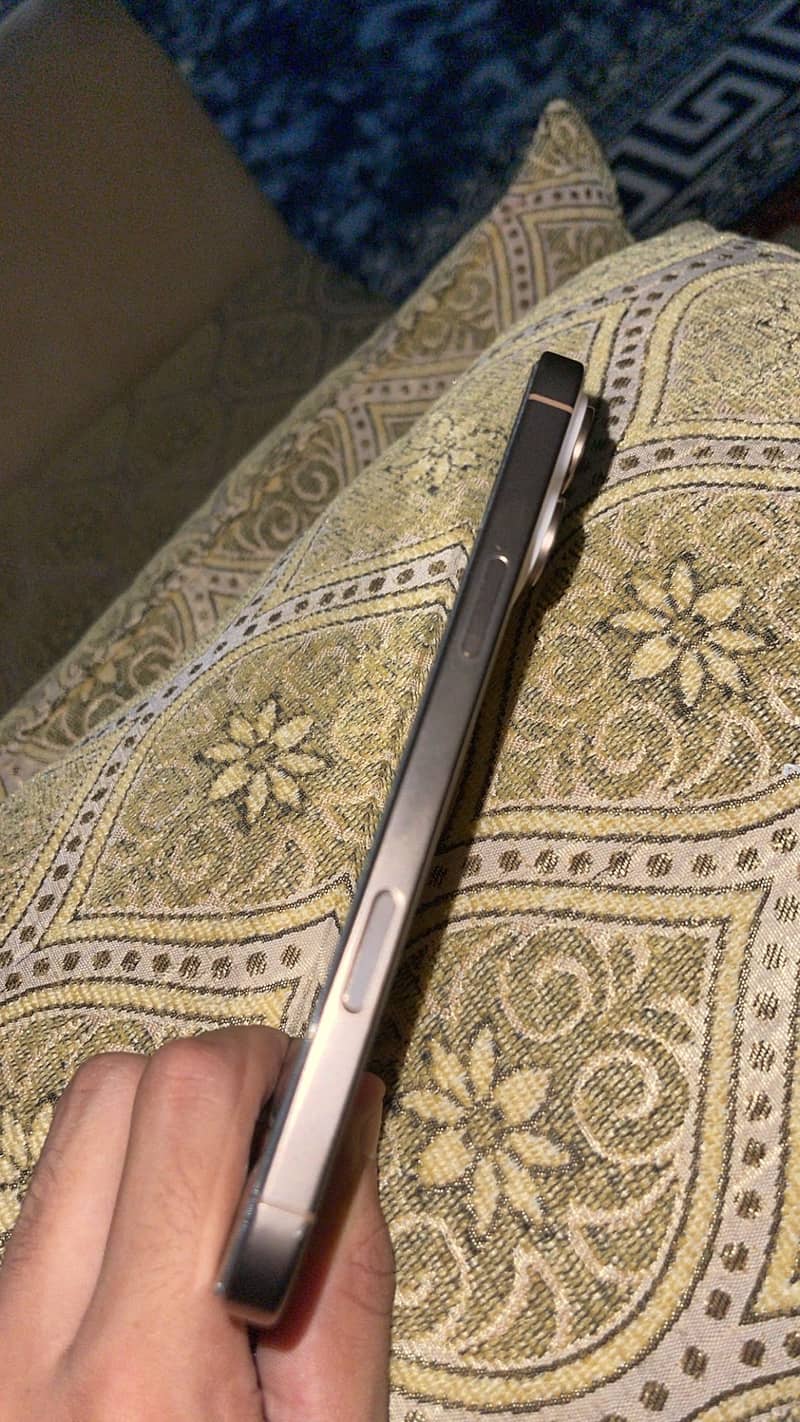 Apple iPhone 16 Pro Max 3