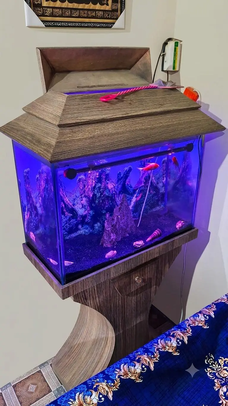 Premium Complete Aquarium Setup with Stand & Fish (All Included)