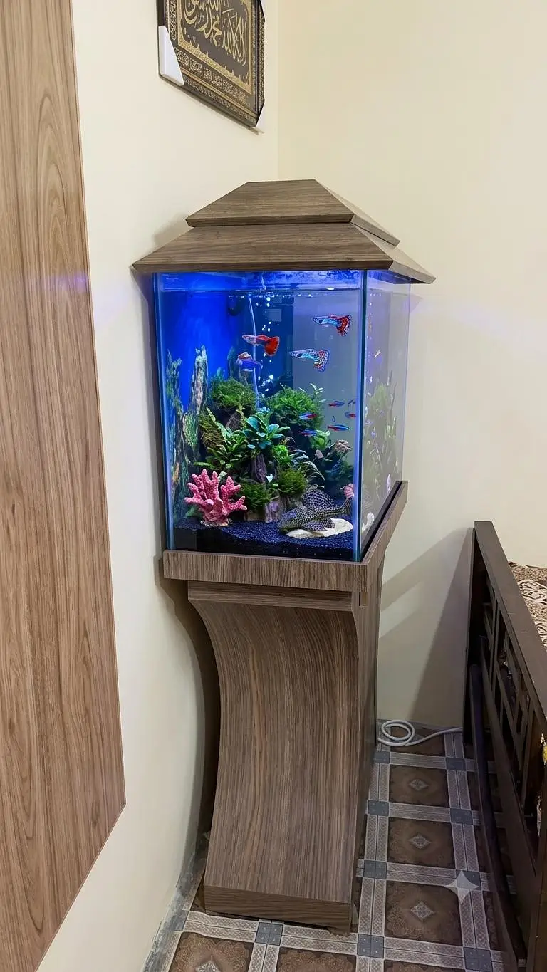 Premium Complete Aquarium Setup with Stand & Fish (All Included) — photo 2