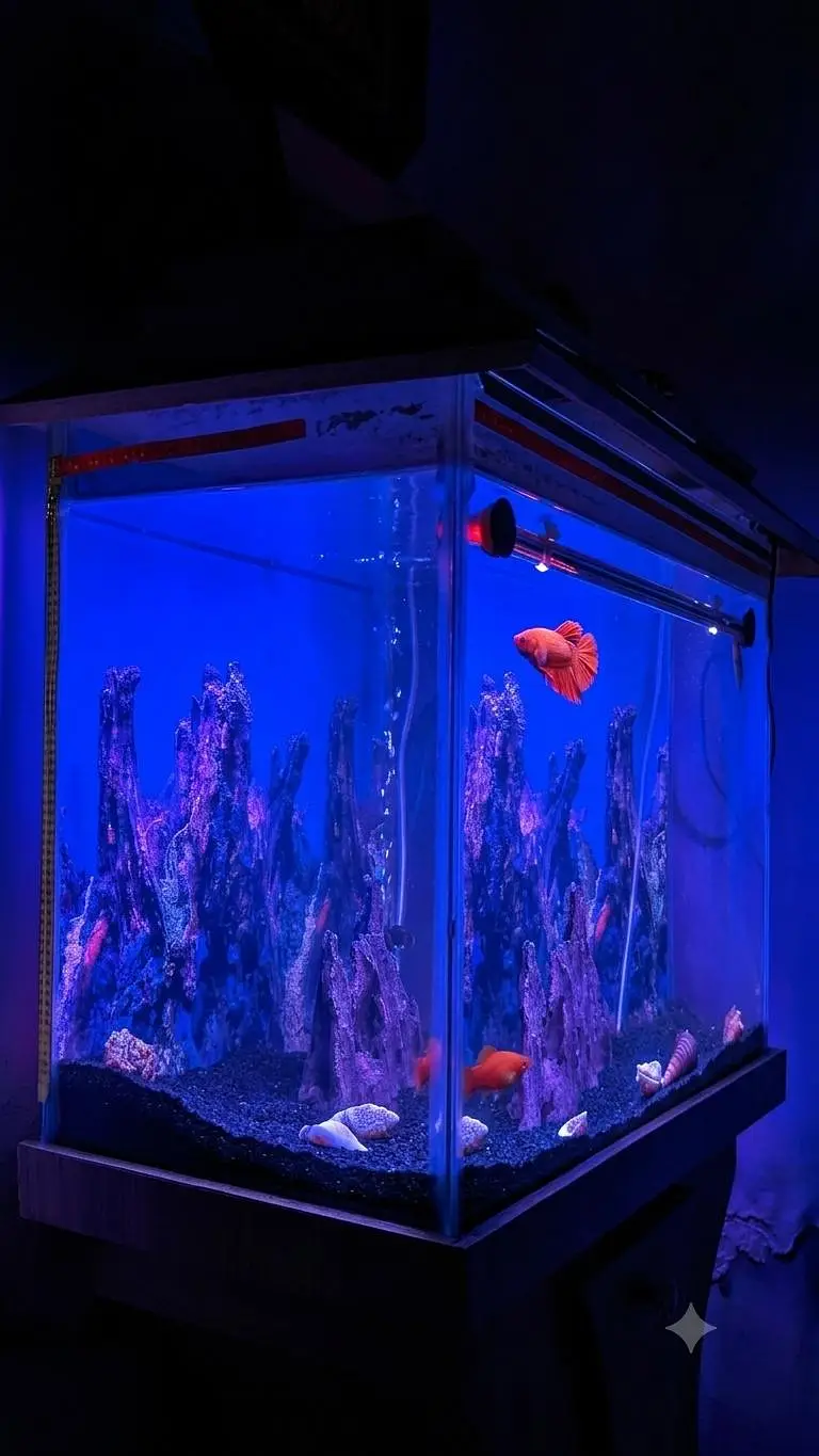 Premium Complete Aquarium Setup with Stand & Fish (All Included) — photo 3