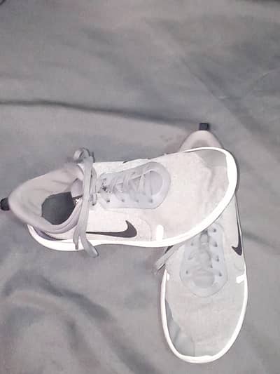 Nike Mens Flex Experience
