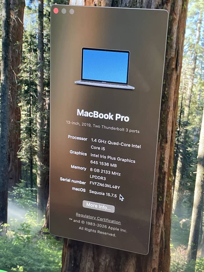 MAC Book Pro 2019 8