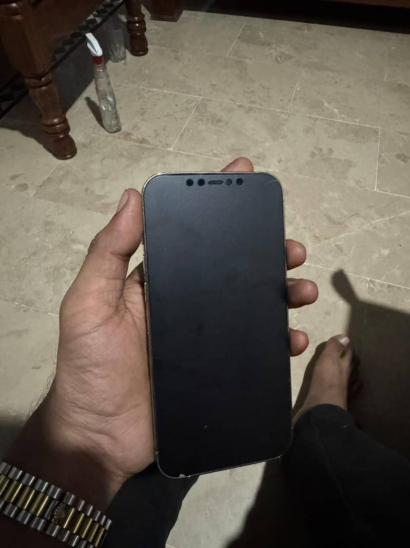 Apple iPhone 12 Pro Max 1