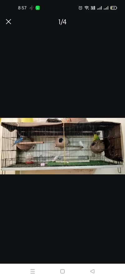folding cage on wooden cage for sale