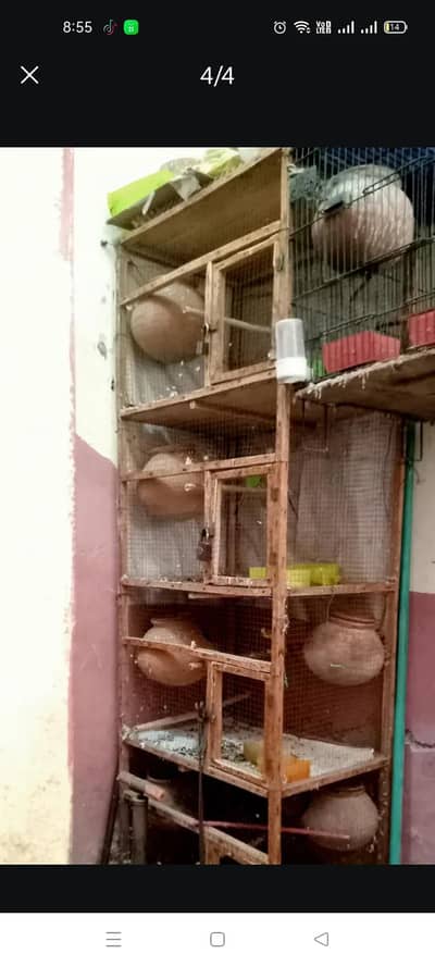 wooden cage for sale