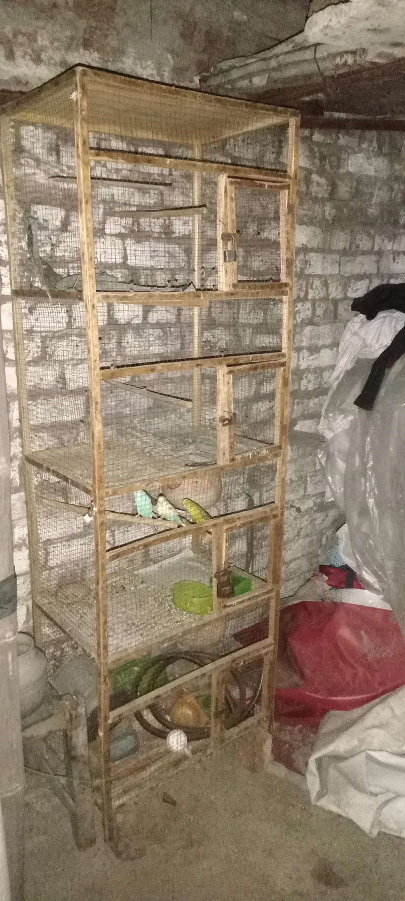 folding cage on wooden cage for sale — photo 3