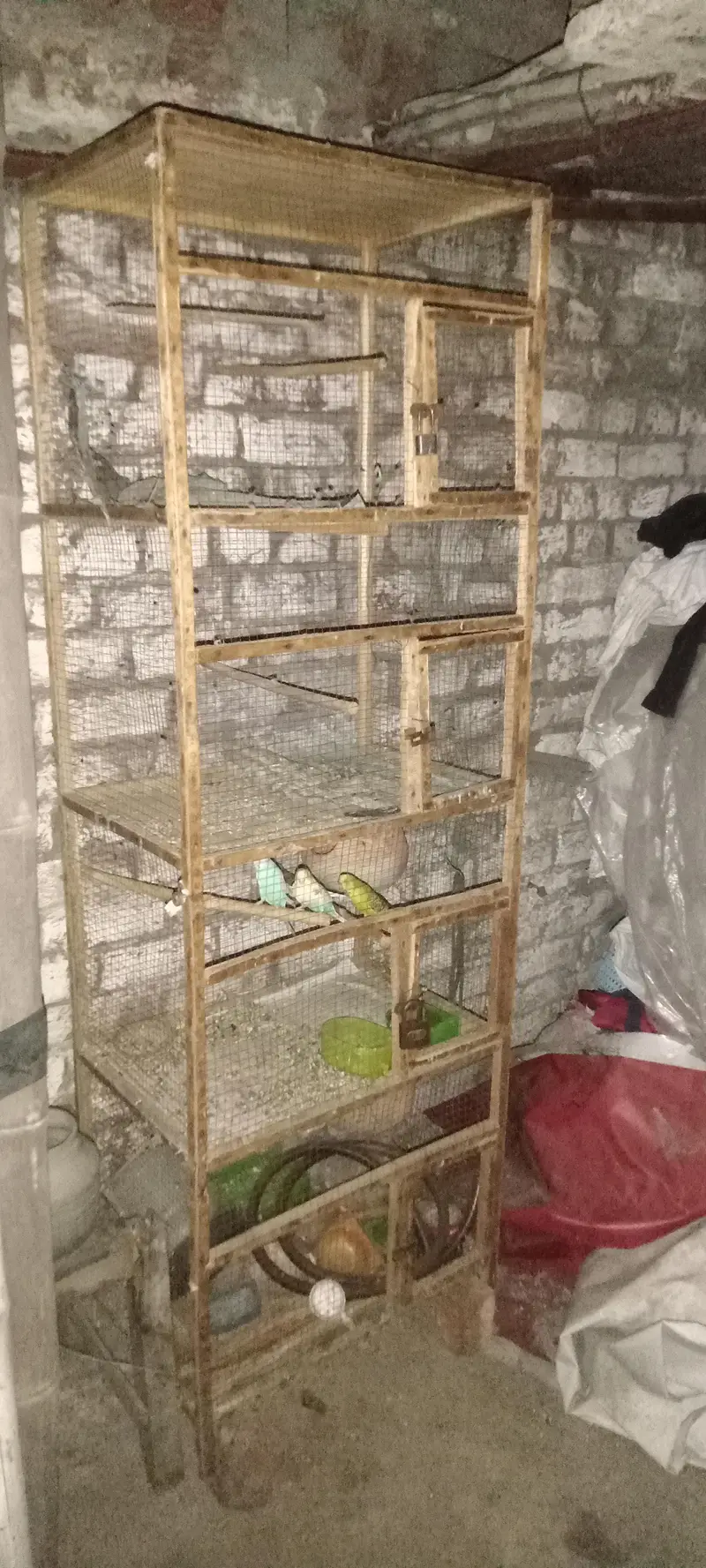 folding cage on wooden cage for sale — photo 4