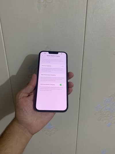 Apple iPhone 13 Pro Max