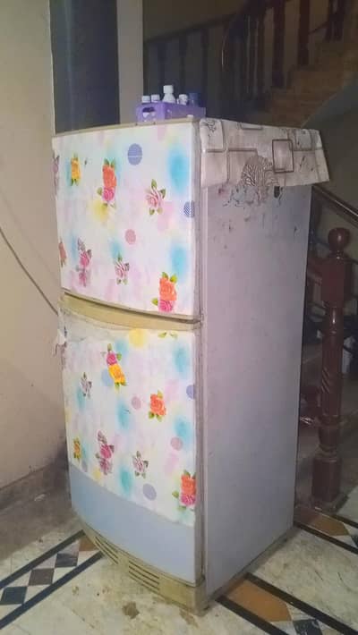 is number par rapta kryn 03066824593