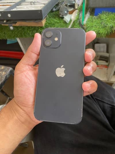 Apple iPhone 12