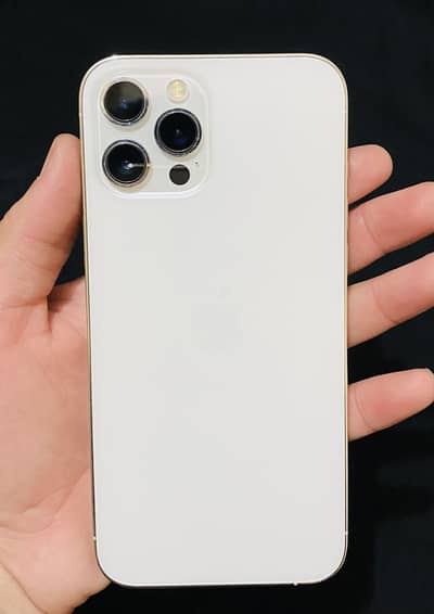 iPhone 12 Pro Max PTA approved