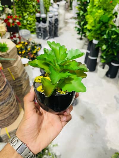 artificial scolant plant gamle ke sath Rs300