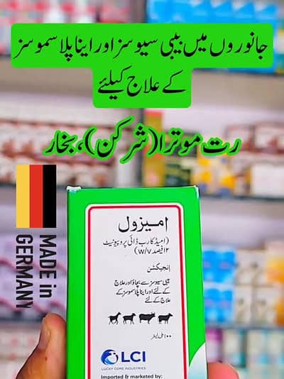 IMIZOL INJECTION 100ml