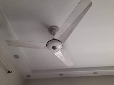 Pak fans deluxe series