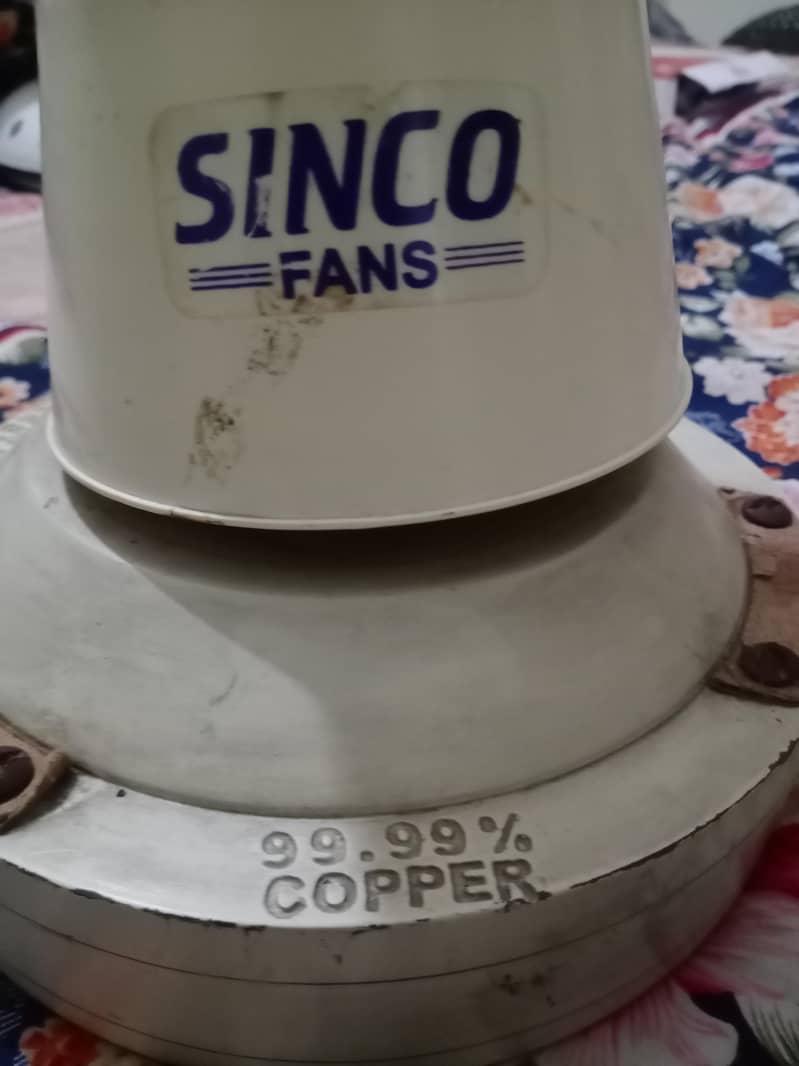 sinco fan 1